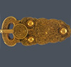 Anglo Saxon jewels ava