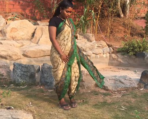 How To Wear Pants Style Sari Indian Meenakshi Sari
