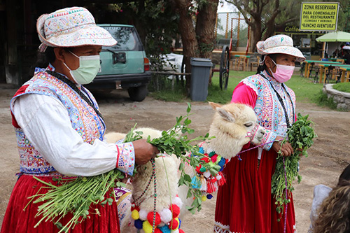 Peruvians-and-alpaca.jpg