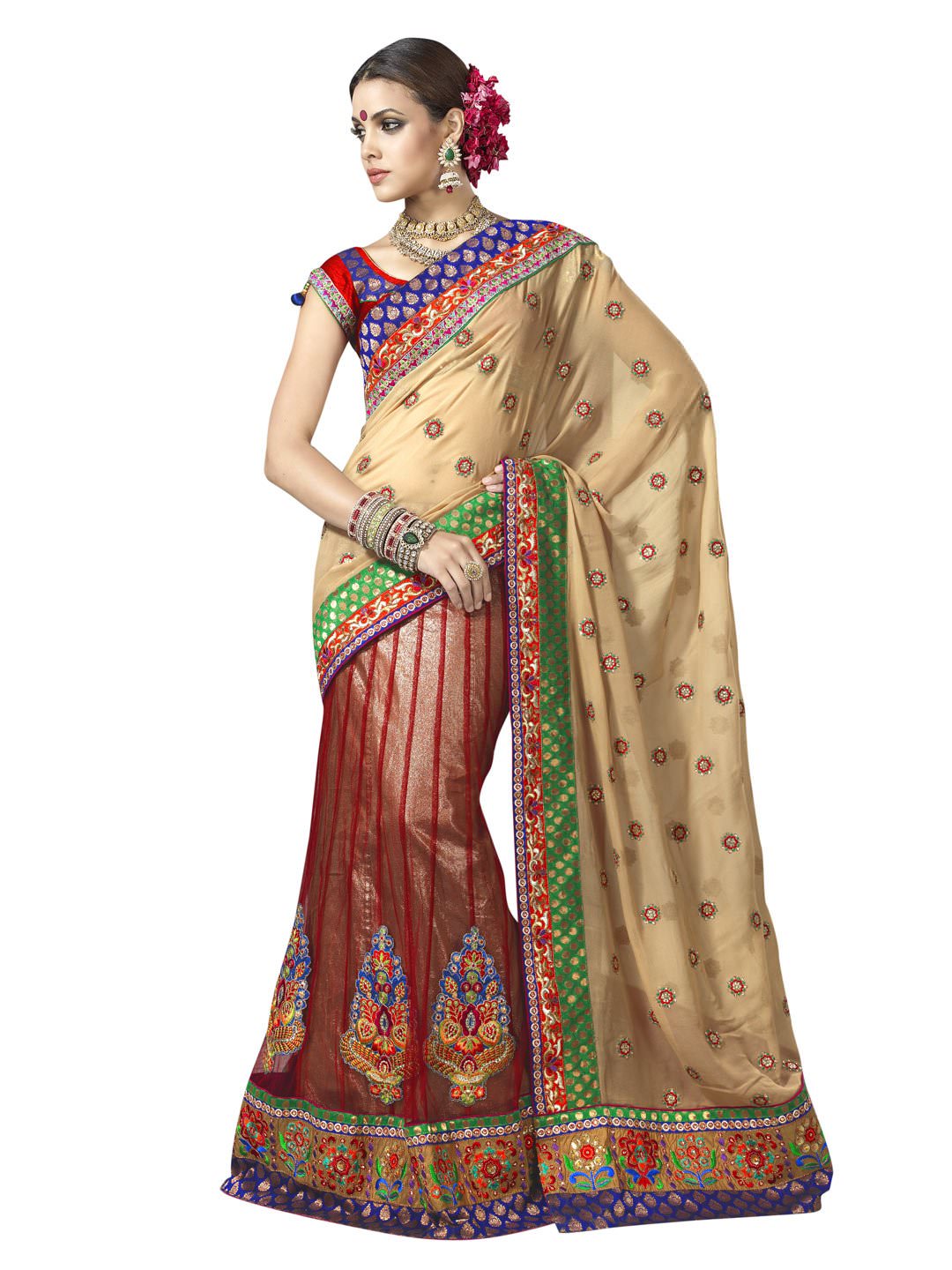 Sari.jpg