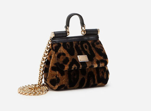 Dolce & Gabbana purse with leopard print