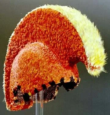 Traditional Hawaiian feather helmet called mahiole