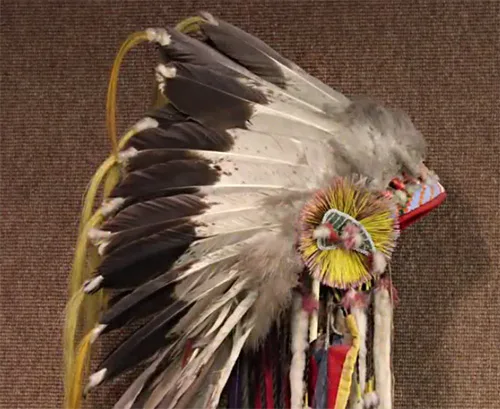 war bonnet4