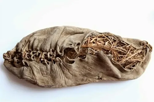 Charokh shoe