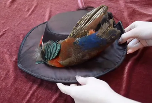 Hat11 3