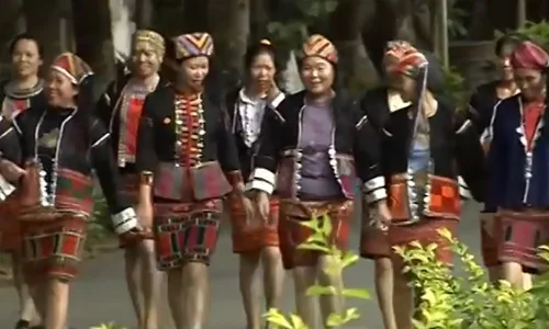 Traditional textile of Chinese Li people: spinning, dyeing, weaving, and embroidering