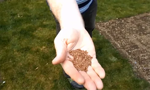 How to make linen fabric from flax