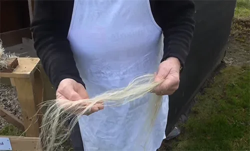 Linen14