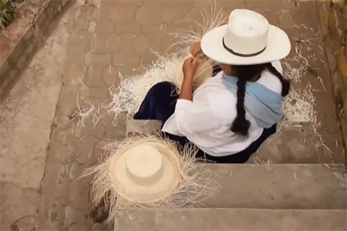 toquilla5
