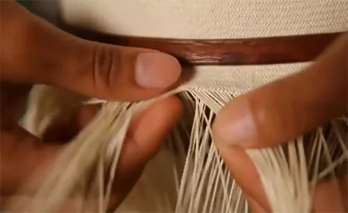 toquilla6