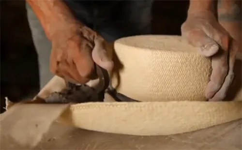 toquilla8