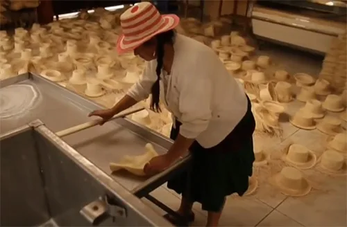 toquilla9