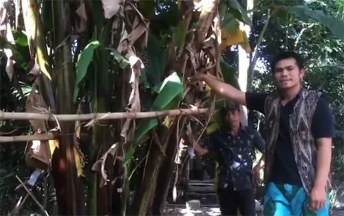 Tboli tnalak fabric