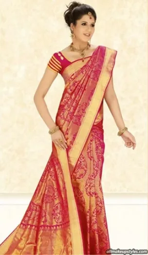 Indian traditional sari