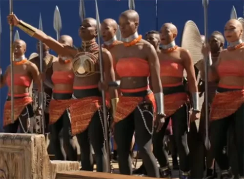 stage costumes of Black Panther film