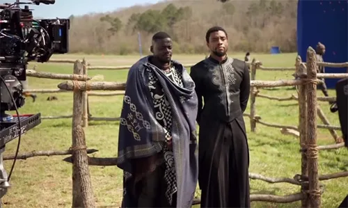 stage costumes of Black Panther film