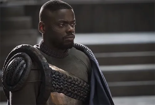 stage costumes of Black Panther film