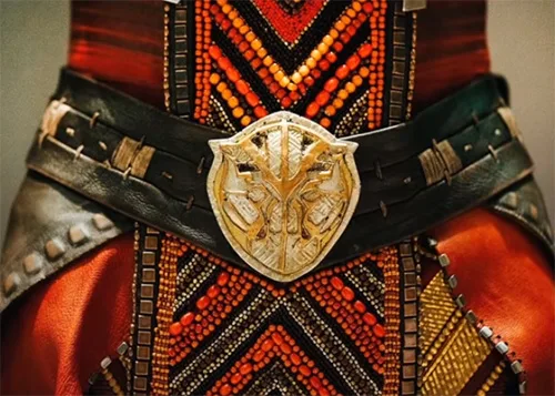 stage costumes of Black Panther film