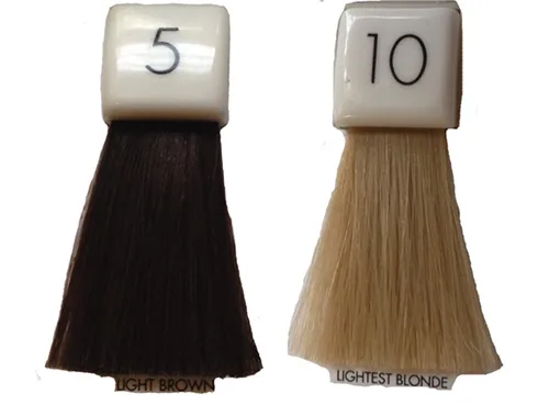 Victorian hair11
