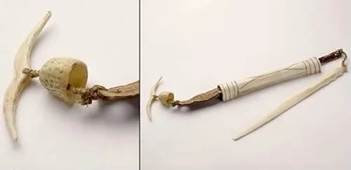 Inuit21