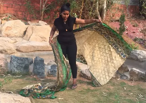 Meenakshi2