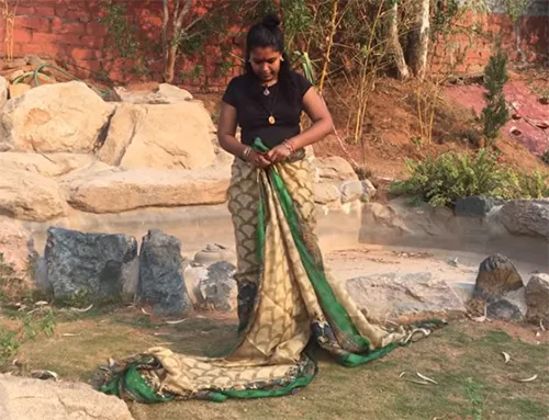Meenakshi3