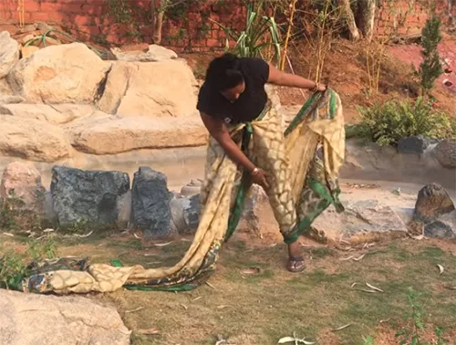 Meenakshi4