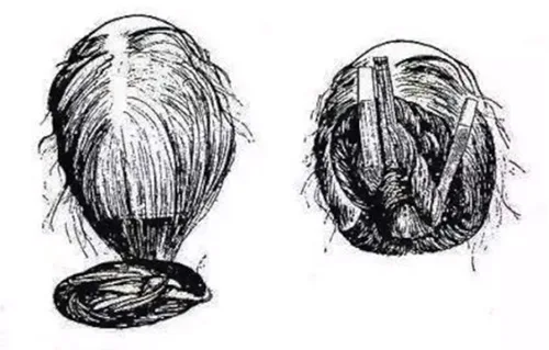 Chinese traditional hairstyles and hairpieces. Samples from tombs