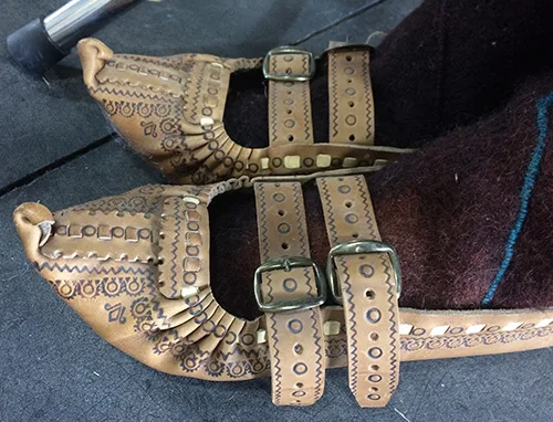 Western41