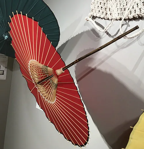 Umbrella5