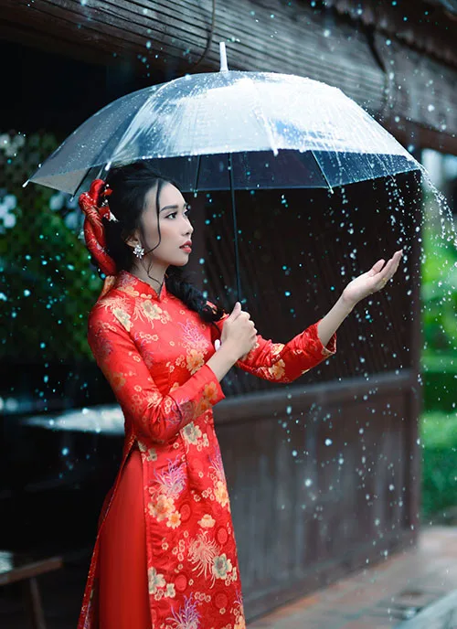 Top-8 extraordinary facts about Vietnamese Ao Dai