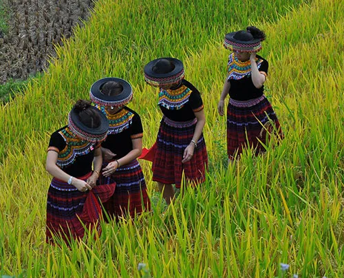 Traditional Miao / Hmong headpiece