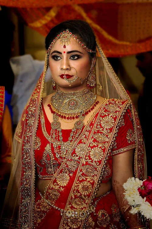 Indian choli blouse