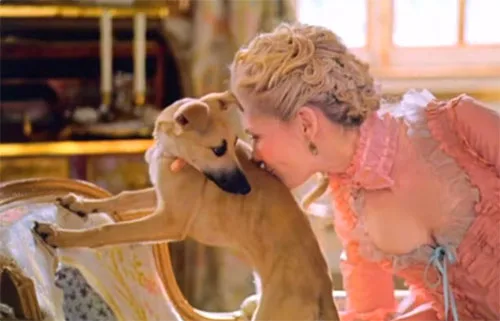 Movie costumes in Marie Antoinette historical drama film