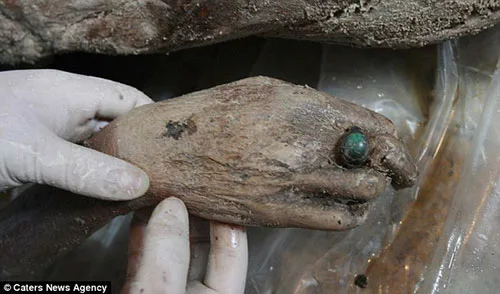 Taizhou mummy dated Ming Dynasty shows us accurate 700-year-old Chinese clothing