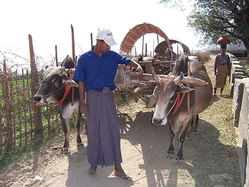Longyi wrap-around cloth from Myanmar